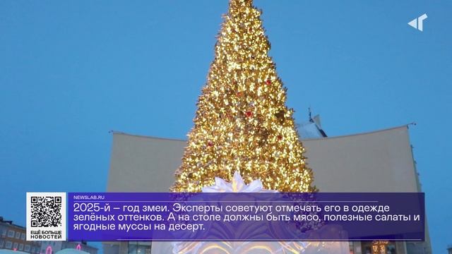 ДАЙДЖЕСТ «СЕВЕРНОГО ГОРОДА», 03.12.2024