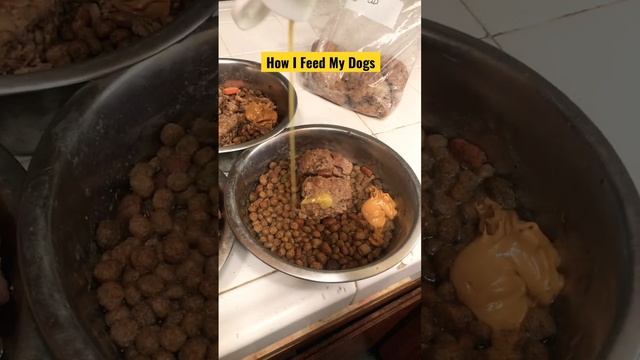 Raw meat Diet🥩 & Dyne for Dogs🫗 #rawmeatdiet #explore