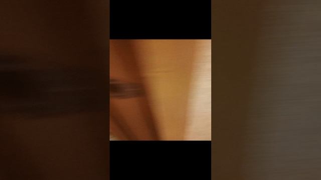 1000038523.mp4
