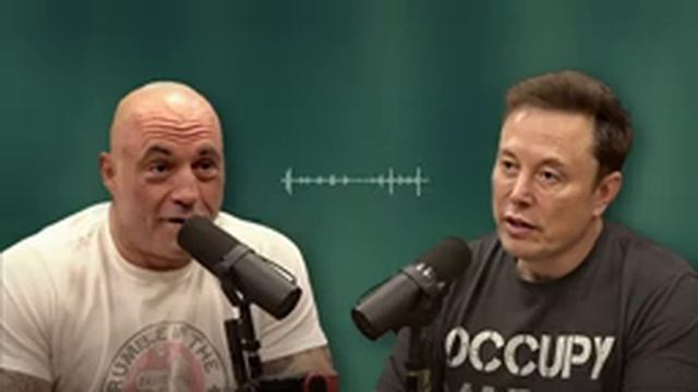 Илон Маск у Рогана