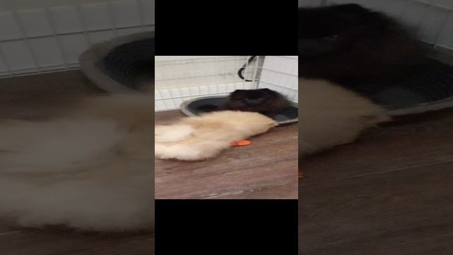 1000052802.mp4
