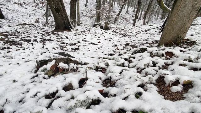 Крым 💖💖💖 Снег ❄️❄️❄️