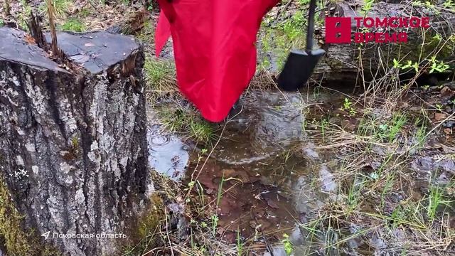 Томичи отметили День неизвестного солдата