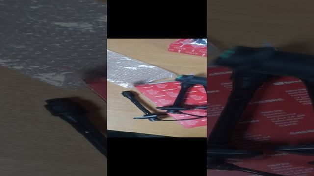 VID_20241203_161508.mp4