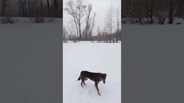озеро