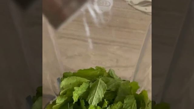 #mintmargaritarecipe#mintdrink#mintlemonadebyzara'scookingandvlogs