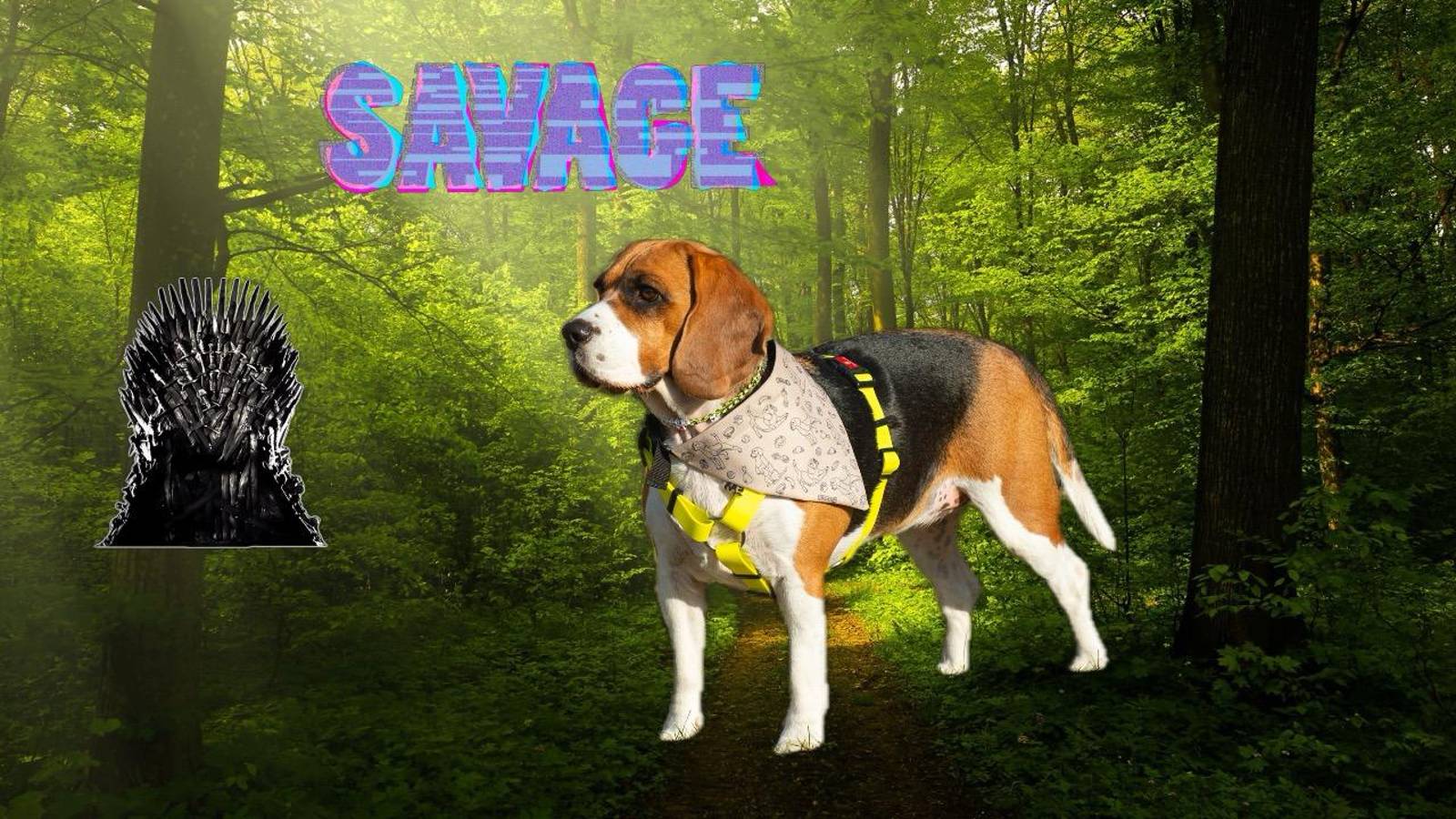 Дикий, дикий запад / Wild, wild forest