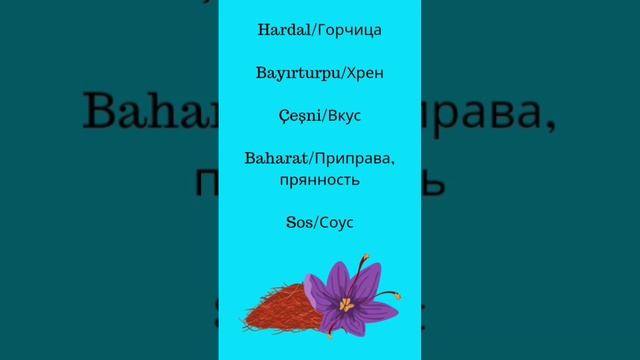 Приправы. Специи/Турецкий язык