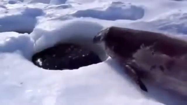 Рыбалка:)