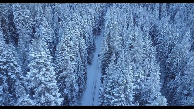 Буктрейлер к роману «Моя миссия любовь»