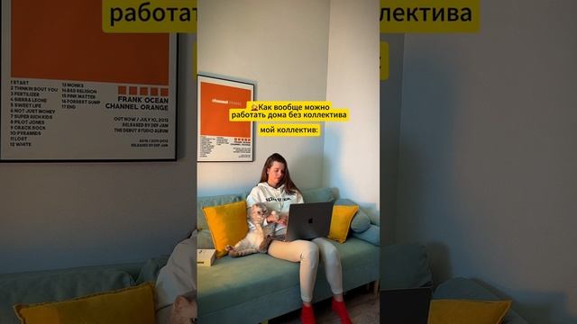 А у вас какой коллектив? 😅