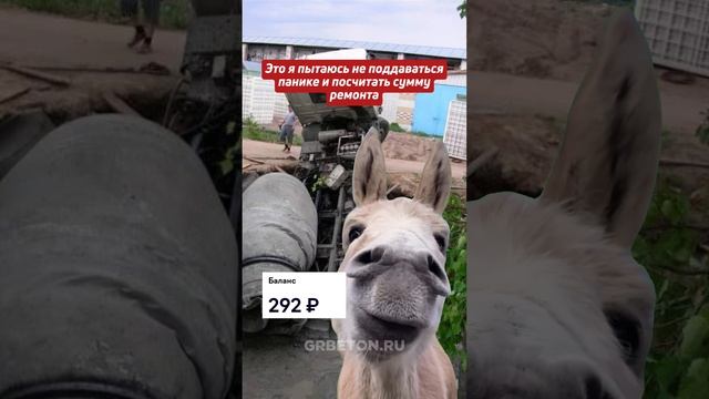 С нашими ценами хватит на все!