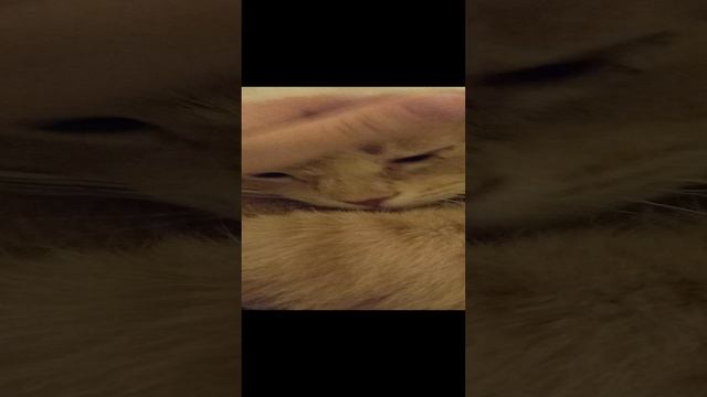 1000005604.mp4