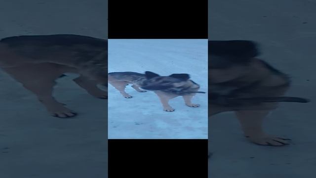 Где-то в России!!!