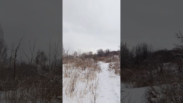 прогулка