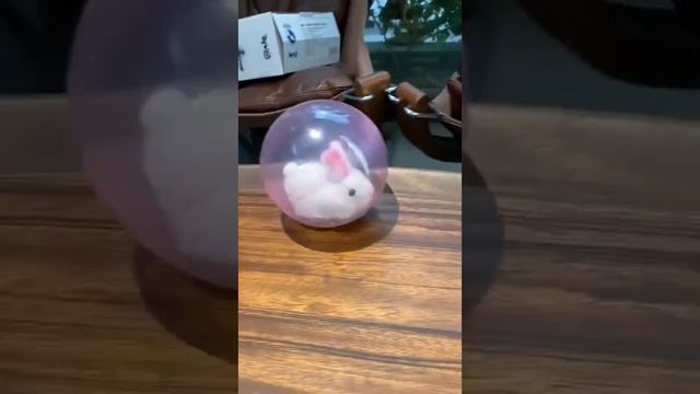 Электрический хомяк с кроликом катаются на роликах