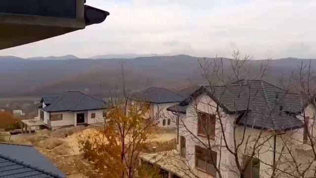 VID-20241115-WA0002.mp4