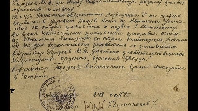 ВОВ Гордеев М.П. 1921 г.р. 323 Стрелковая Брянская Красноармейская Дивизия 33 А