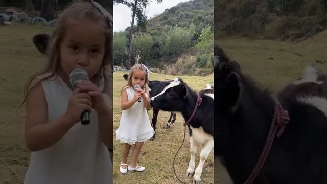 Ну давай, скажи "муу-у-у". ❤️😁😂🔥