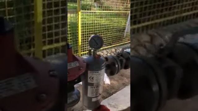 Запуск регуляторной группы.