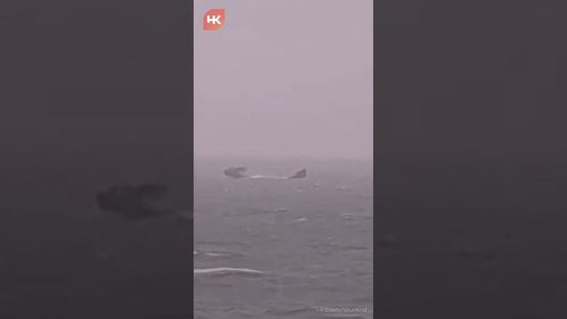 💬 Два сухогруза, представляющих угрозу морской среде, будут подняты со дна Чёрного моря.