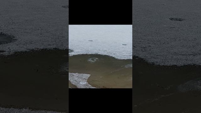 Ждем льда. #точкаотдыха64 #первыйлед2025 #пешня