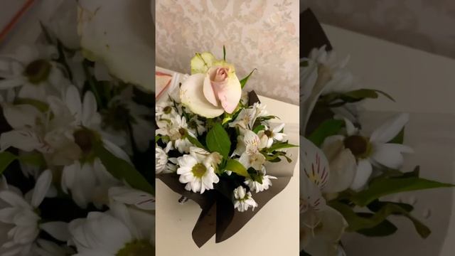 Ешь морковку, лук и хрен, будешь как Софи Лорен #love #liebe #любовь #вкусняшки #recipes #flowers
