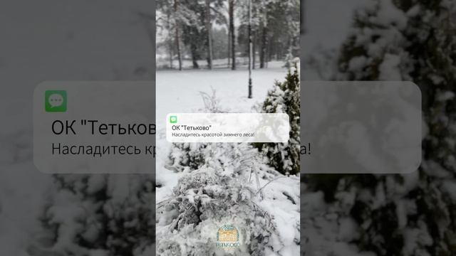 Зима в ОК "Тетьково"!