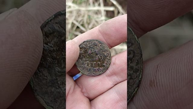 Деньга 1738 год #shorts #35metalloff #вологда #коп #like #coin #копатель #digger  #metaldetector