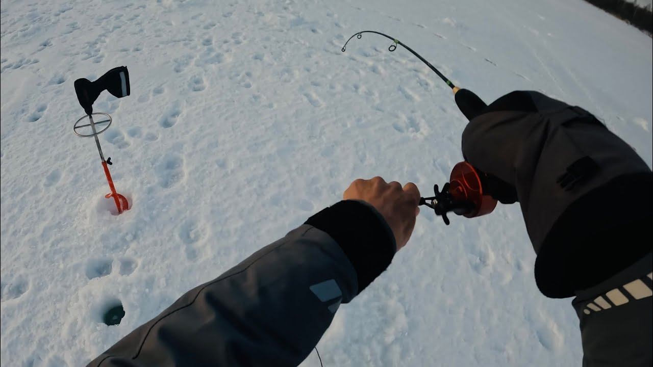 ЛОВЛЯ СУДАКА НА ВИБЫ СО ЛЬДА. ВЕСНА. РЕВАНШ) Подобрал для себя комфортную палитру на ПРАКТИК 8.