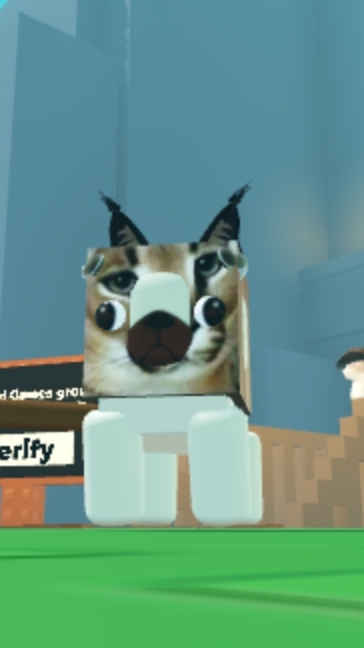 scene_output.mp4
