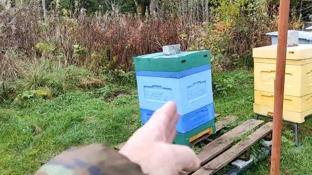в разных ульях пчелы готовятся к зиме по разному. к теме про ульи ппу.