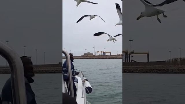 82b6df168b64ee17c00d14fdf667d172.mp4