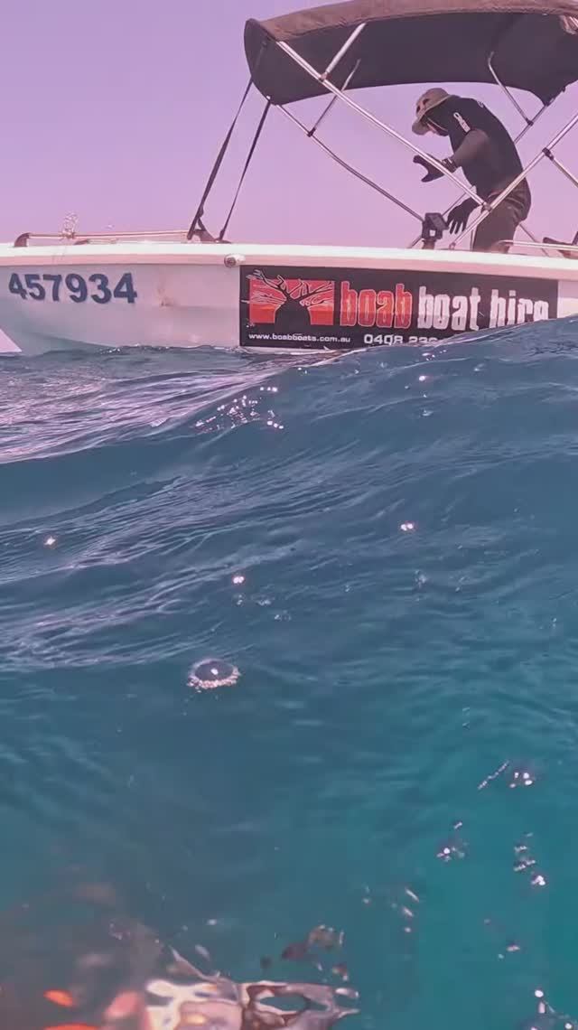 Только что взял форель и вижу под нами Испанскую Макрель - надо брать! #spearfishing #подводнаяохота