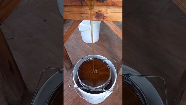 1000002798.mp4