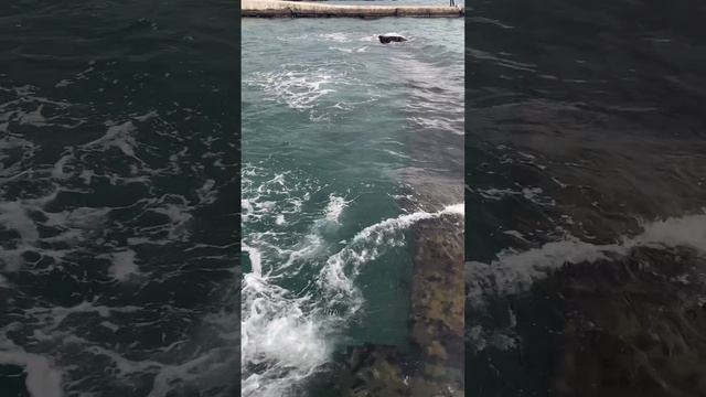 Чистое зимнее море Сочи