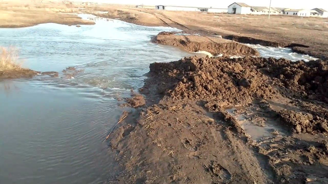 Прорыв 2021