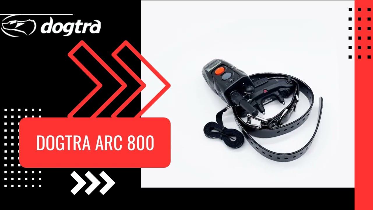 dogtra ARC 800