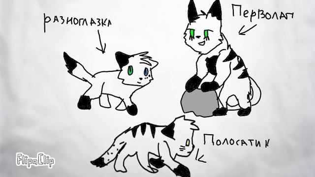 Вот мои котята