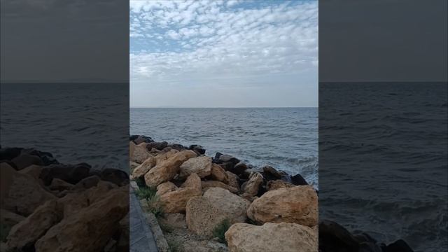 мысли вслух