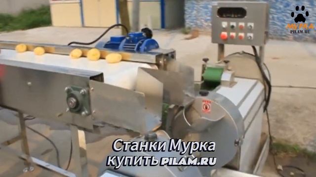 Мурка Станки для очистки и резки корнеплодов  pilam.ru