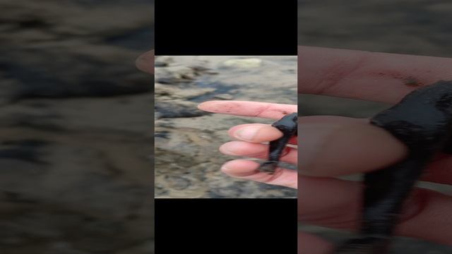 Интересная штуковина🤨