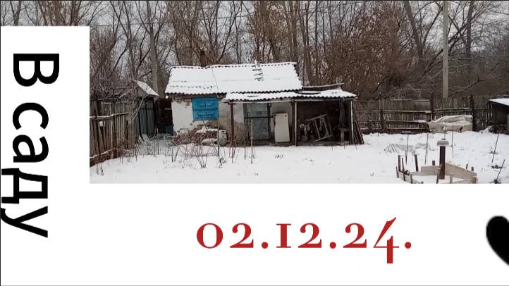 В саду (02.12.24)