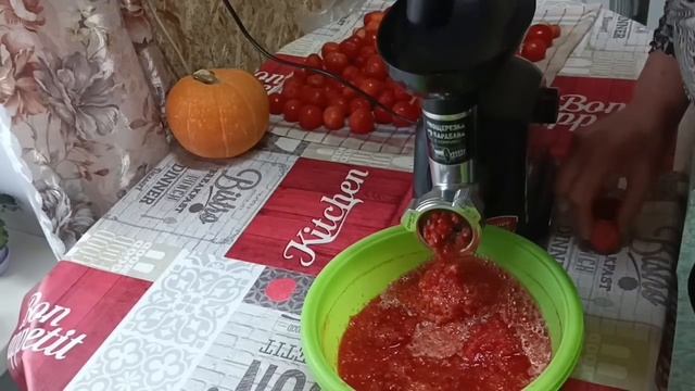 Собака - потеряшка. Приготовила мусс, последние помидоры.