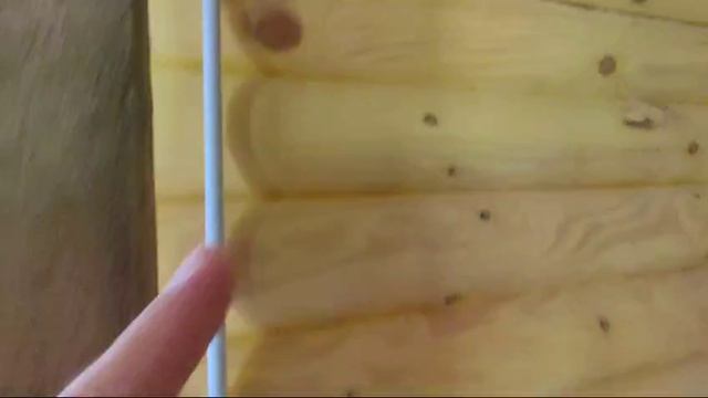 1000089280.mp4