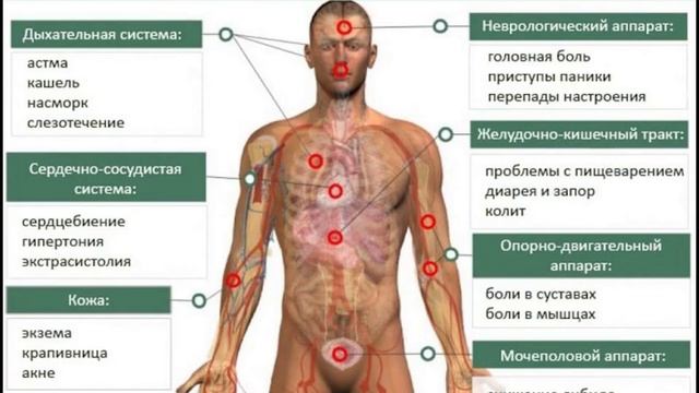 Диетология – 90. Пищевая непереносимость