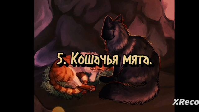 от ученика до целителя