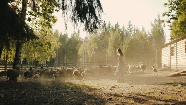 4921859-uhd_4096_2160_25fps