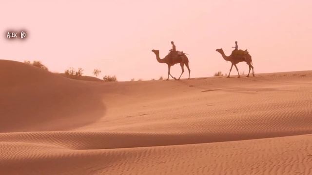 Alex Bo - Hot sand 2020