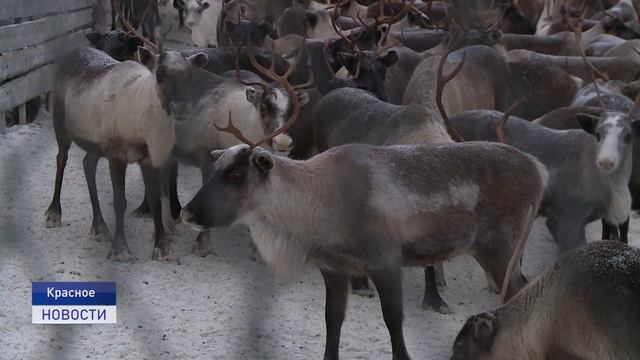 УБОЙНАЯ КАМПАНИЯ - 2024
